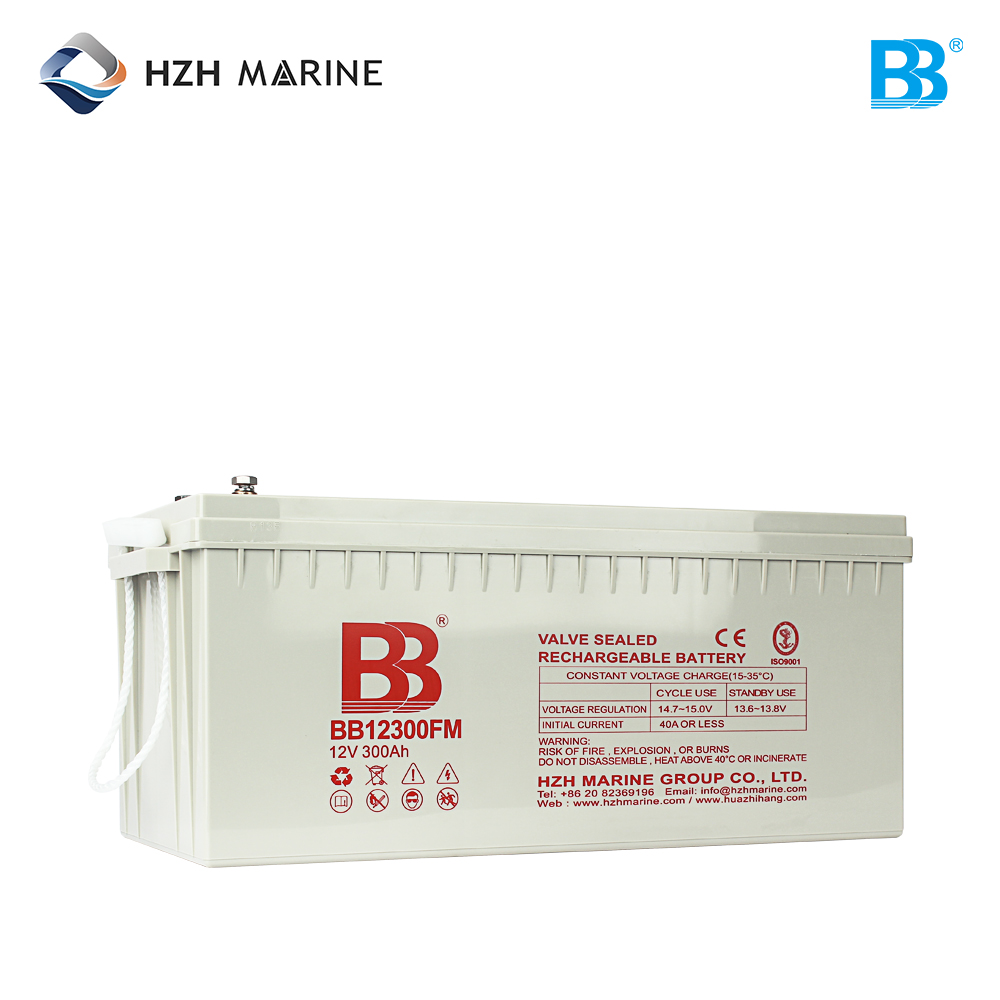 蓄电池充电器 MF100 110V-250V 12V/24V BB