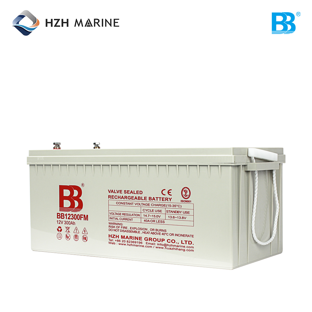 蓄电池充电器 MF100 110V-250V 12V/24V BB