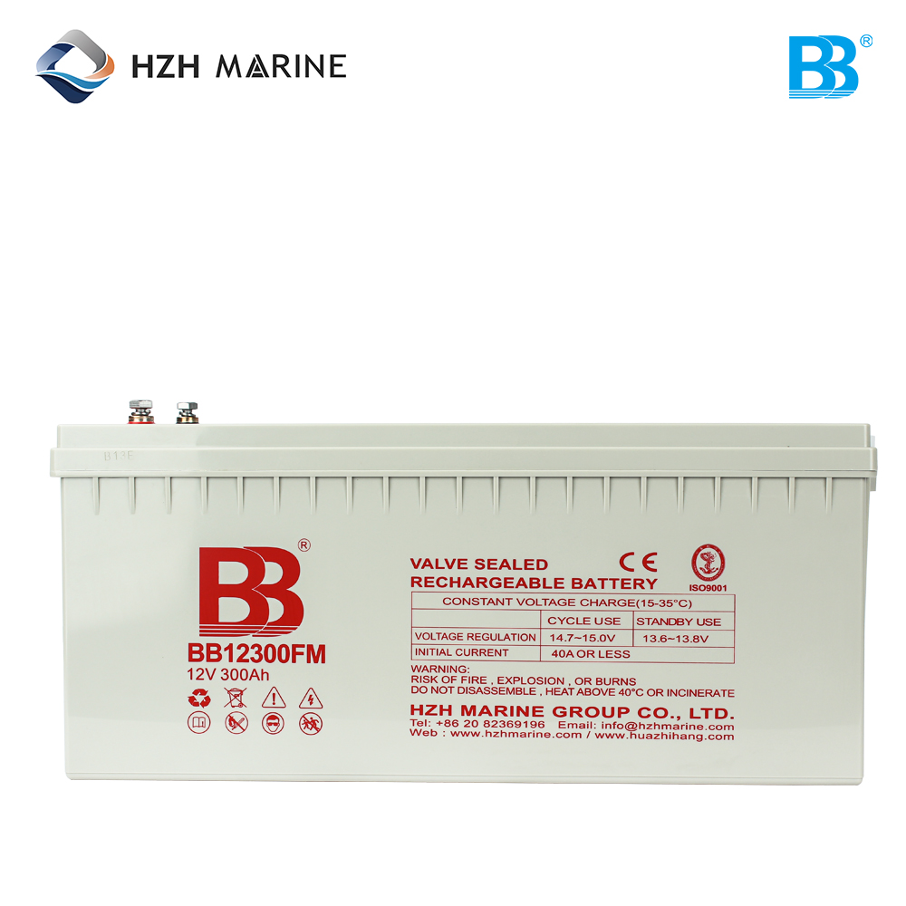 蓄电池充电器 MF100 110V-250V 12V/24V BB